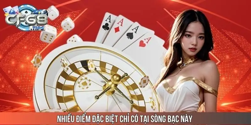 nhieu-diem-dac-biet-chi-co-tai-song-bac-nay